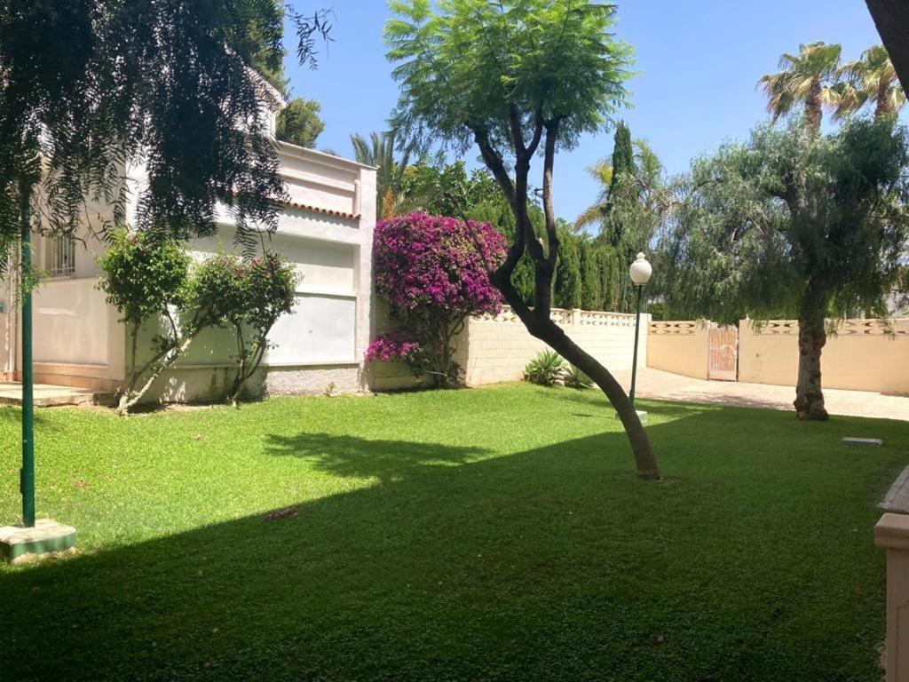 Apartamento Con Piscina Y Parking El Campello Esterno foto